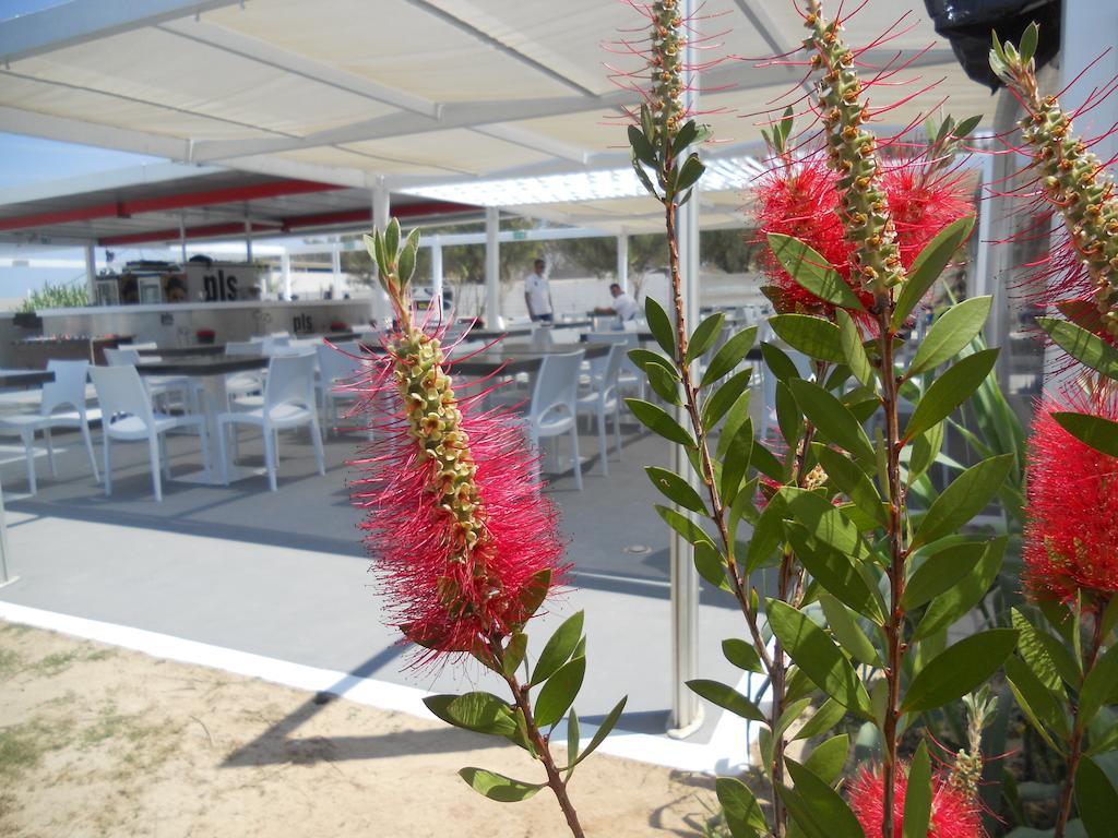 Hotel Masseria Fortificata Donnaloia โมโนโปลี ภายนอก รูปภาพ